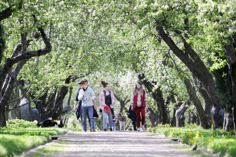    Сергей Булкин/NEWS.ru