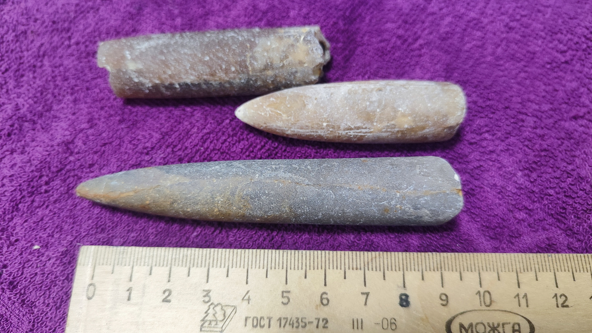 Белемниты - вымершие пресноводные головоногие моллюски, внешне напоминали кальмаров и имели внутреннюю раковину, сохранившиеся фрагменты которой напоминают каменные пули. Жили эти создания с триасового по меловой период (234-66 млн лет назад)