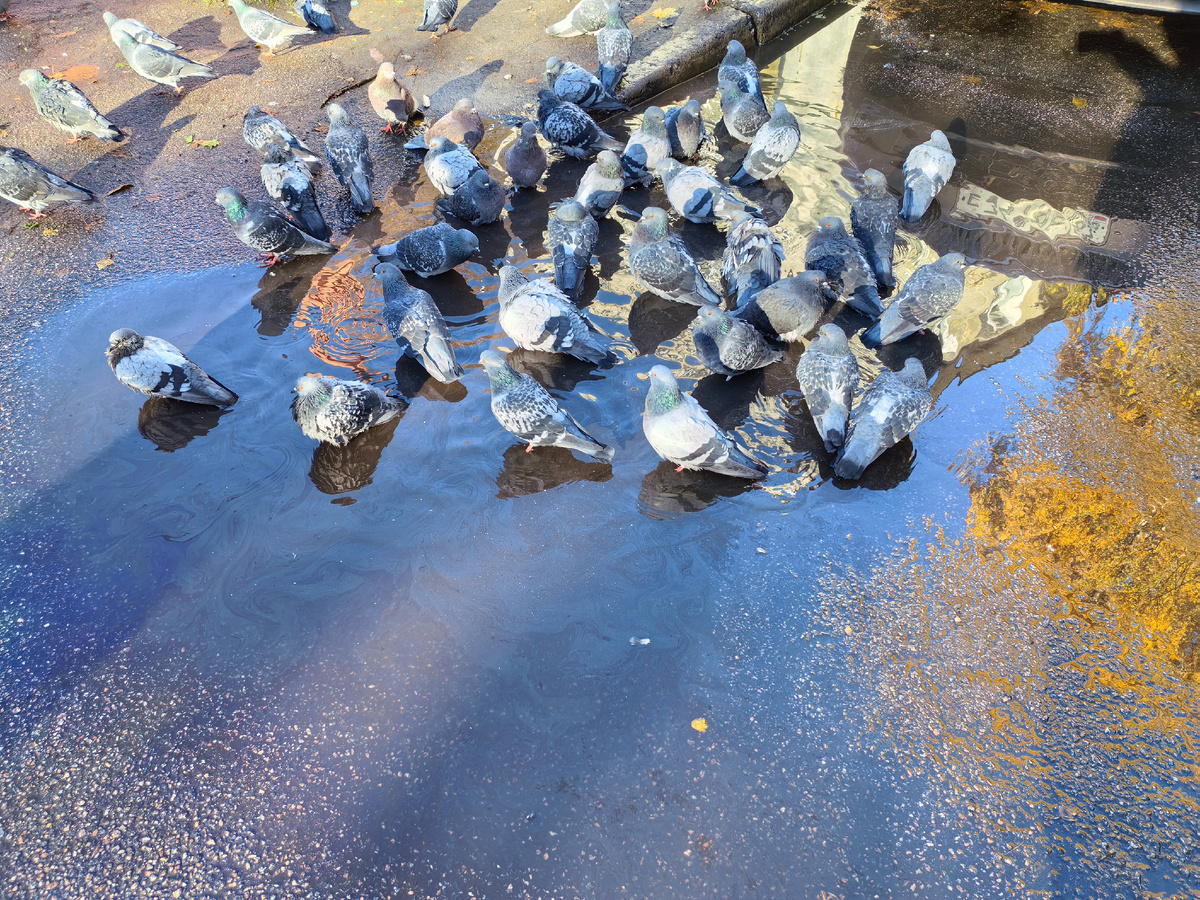 Грязевые ванны