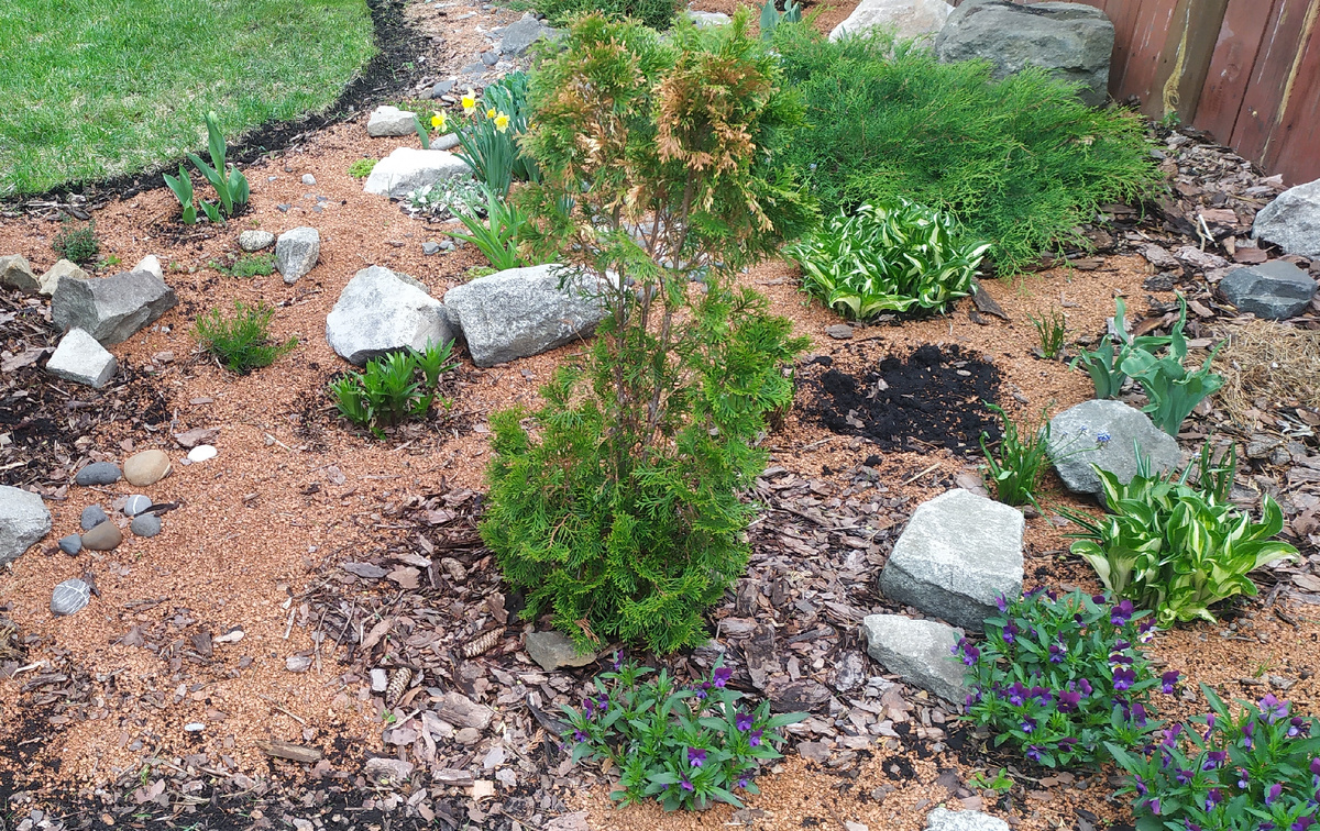 Жалкое зрелище