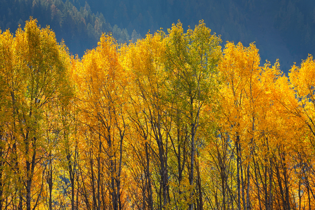 фото:Patrick Frischknecht/http://imagebroker.com/#/search/Global Look Press