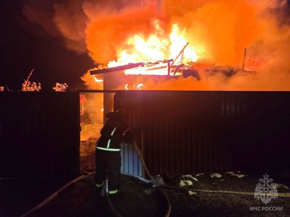    Пожар в садоводстве "Флора". Источник: t.me/mchs_altkray