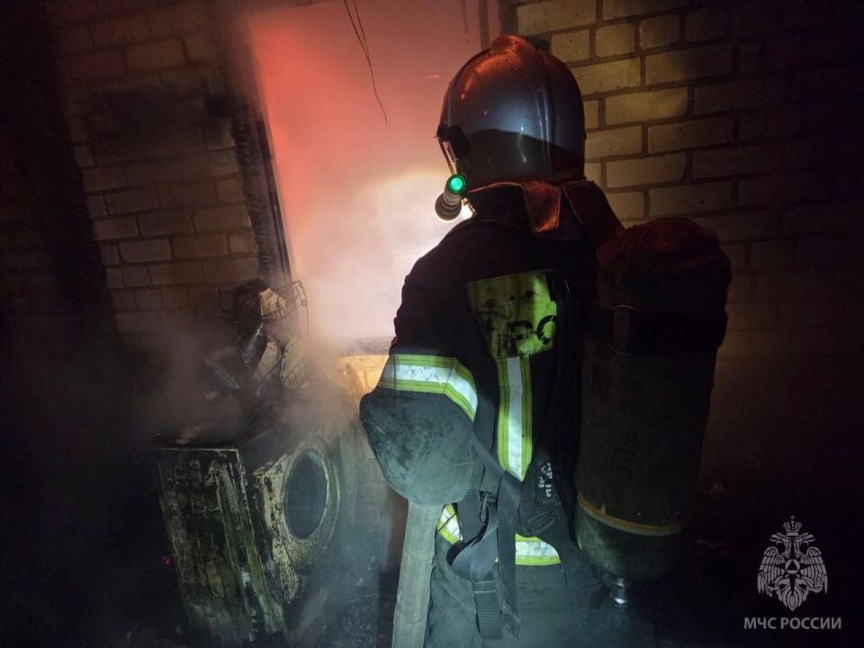    Пожар в садоводстве "Флора". Источник: t.me/mchs_altkray