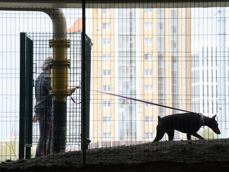     © Ilya Moskovets/ URA.RU/Global Look Press