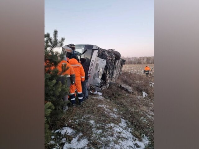    Фото: телеграм-канал Skaner28