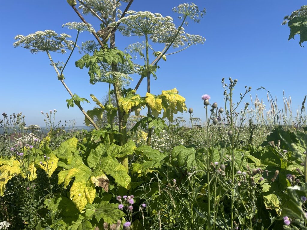    Фото: В курсе.ру Иван Фистин