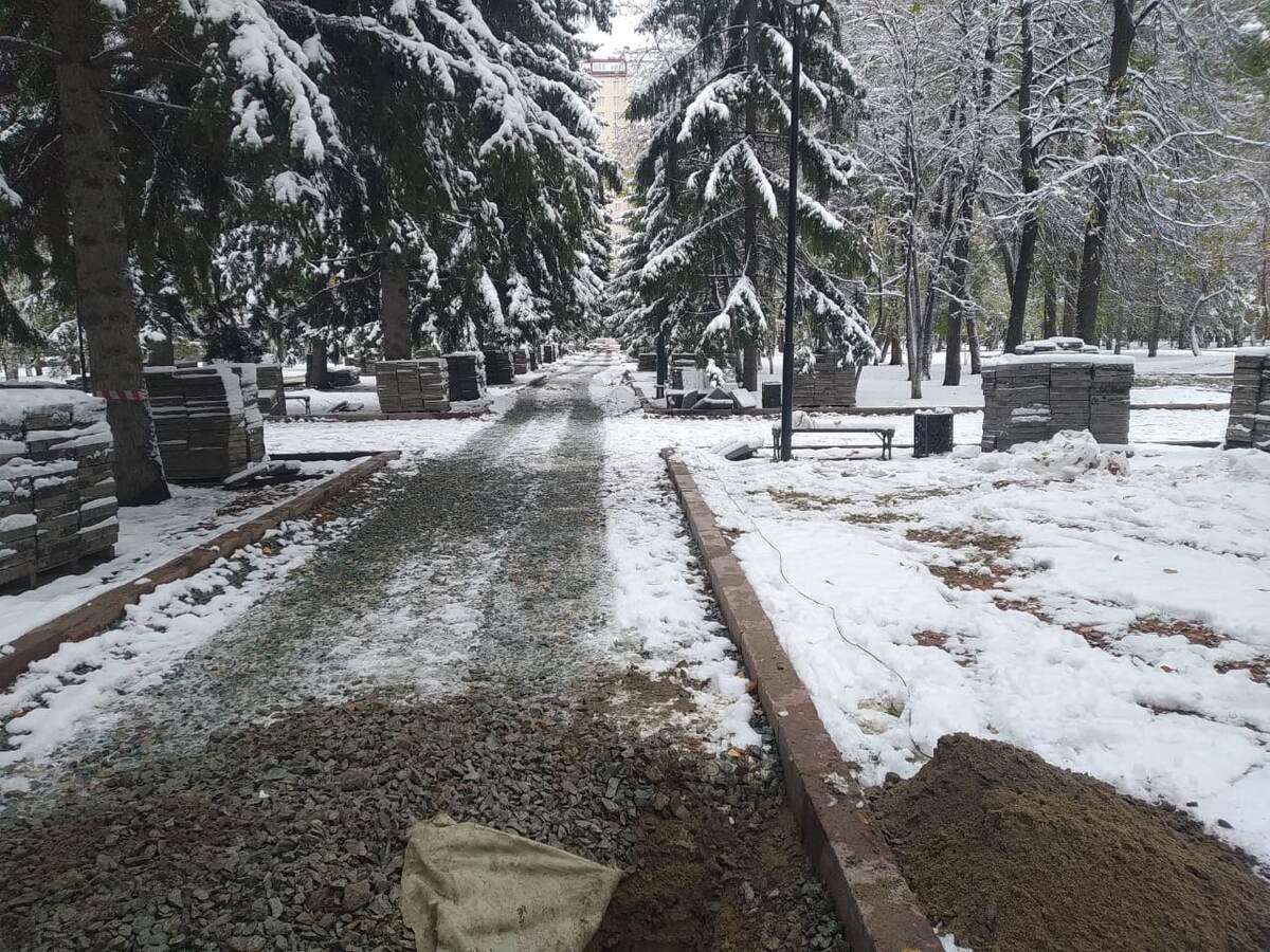    Фото: читатель "Прецедента"