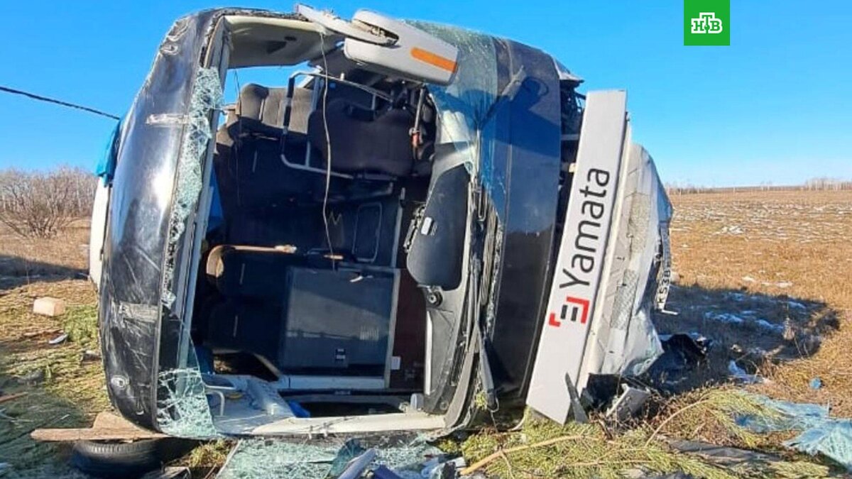    Фото: amurblg1 / t.me