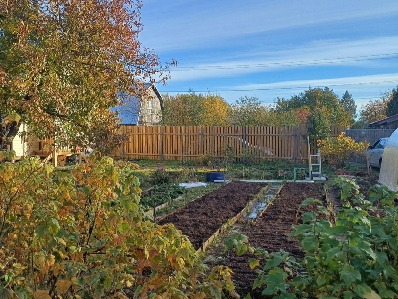    Агроном показал, как правильно копать огород осенью - почва восстанавливается, а весной быстрее прогревается