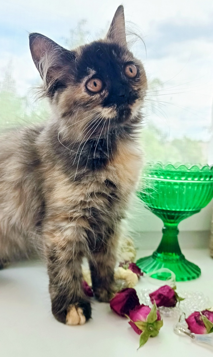 Фото из архива автора.