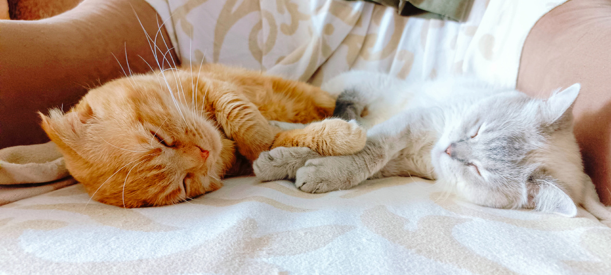 Фото из архива автора.