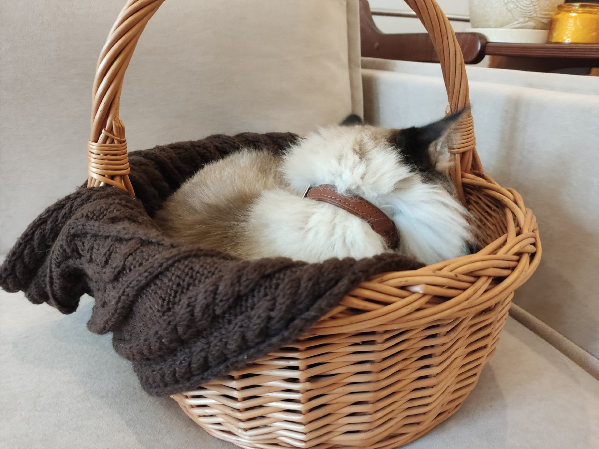 ... И не мешает жить