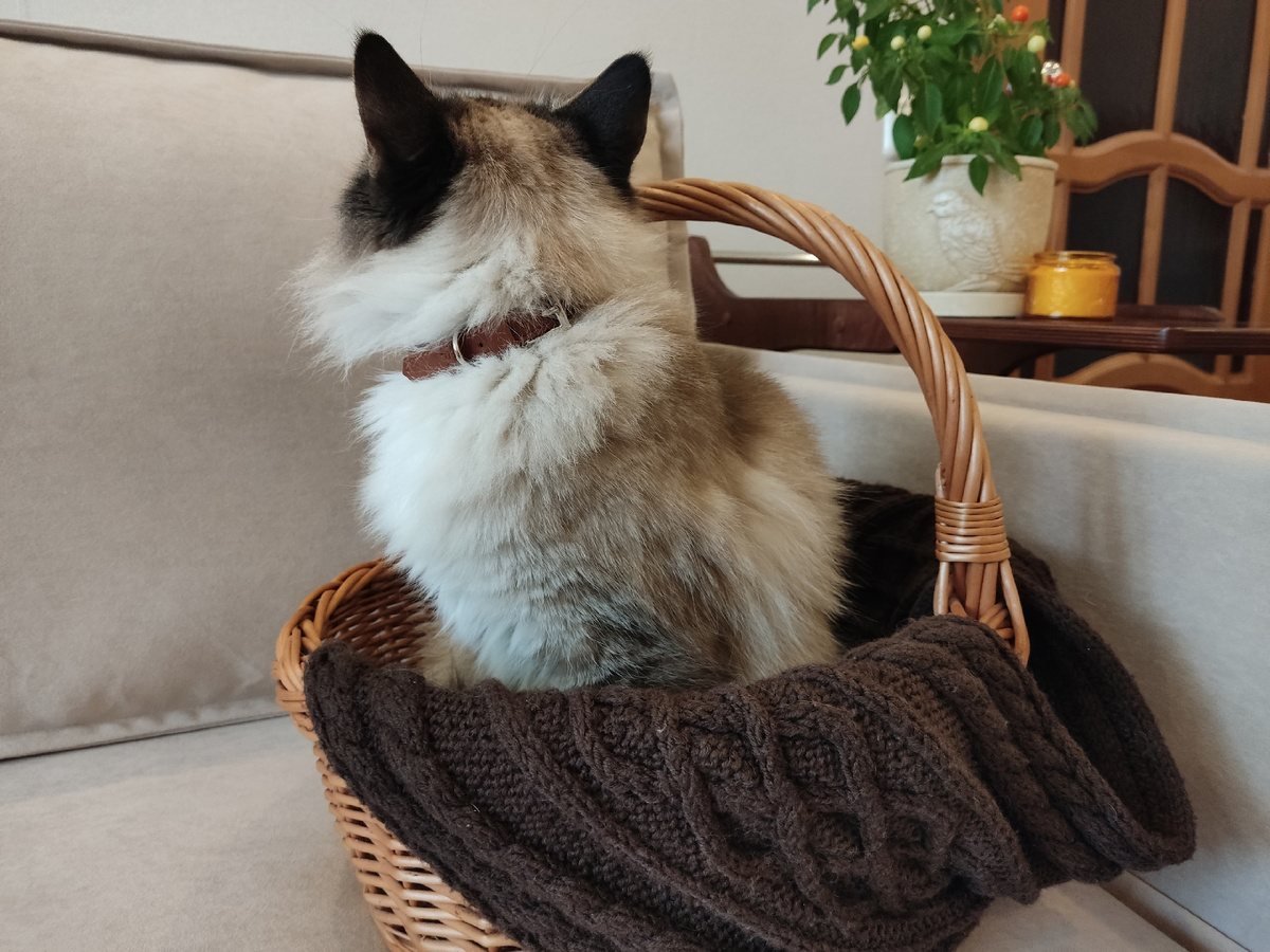 Отлично сидит...