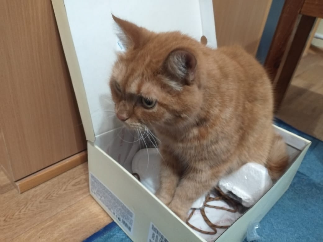 Альтернативный теплоноситель