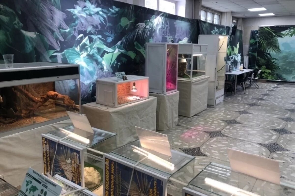    В Лесосибирске приостановили работу передвижного зоопарка с антисанитарией