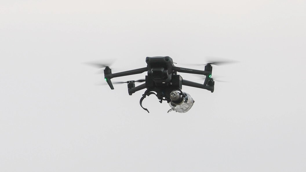    Фото: Shatokhina Natalia/news.ru/Globallookpress