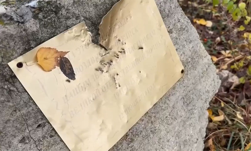     Фото: Кадр видео