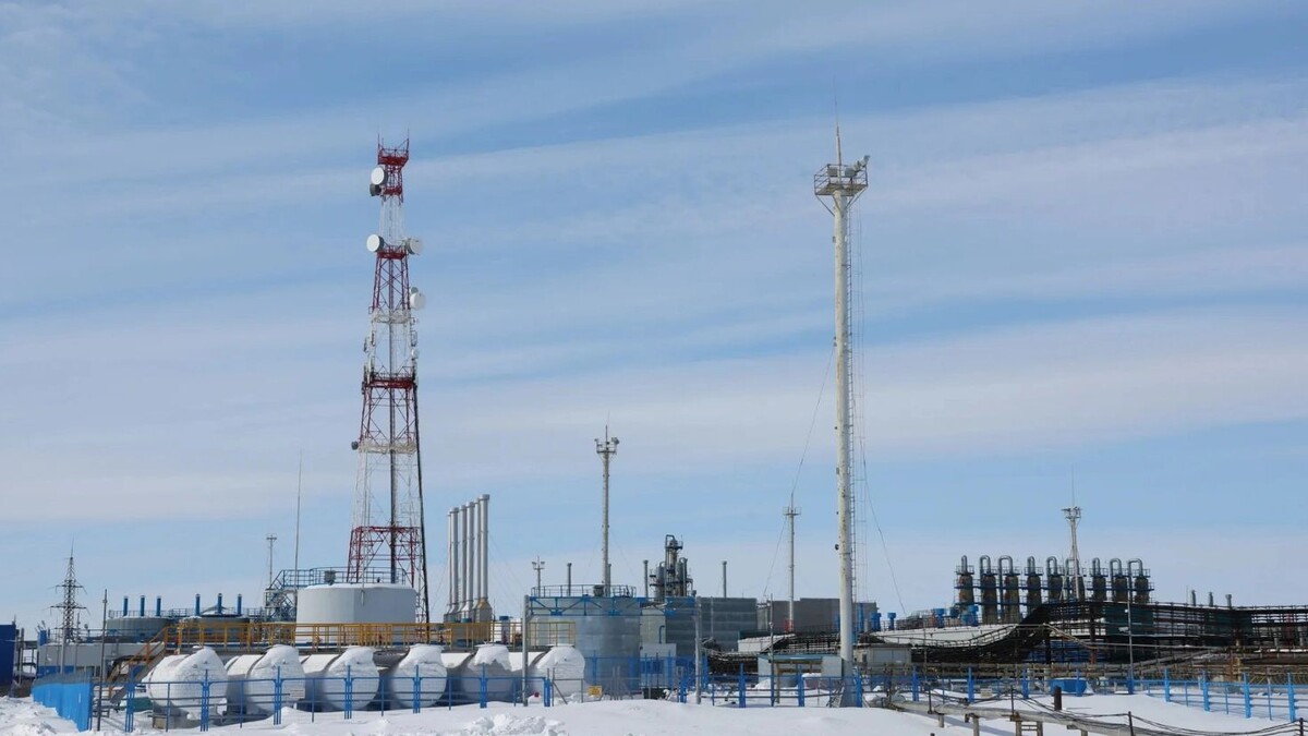    Фото: Андрей Ткачёв / «Ямал-Медиа»