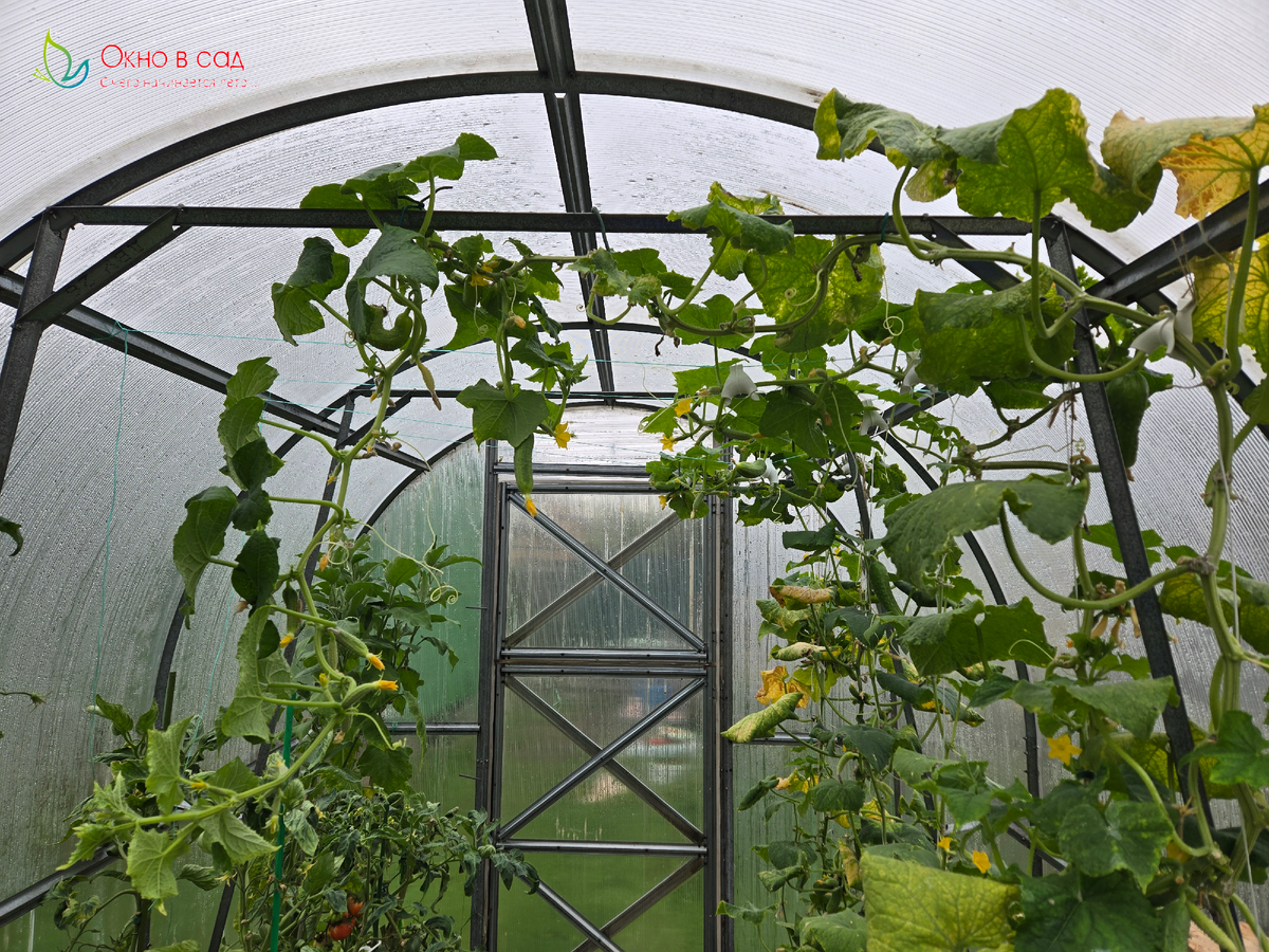 фото из личного архива автора