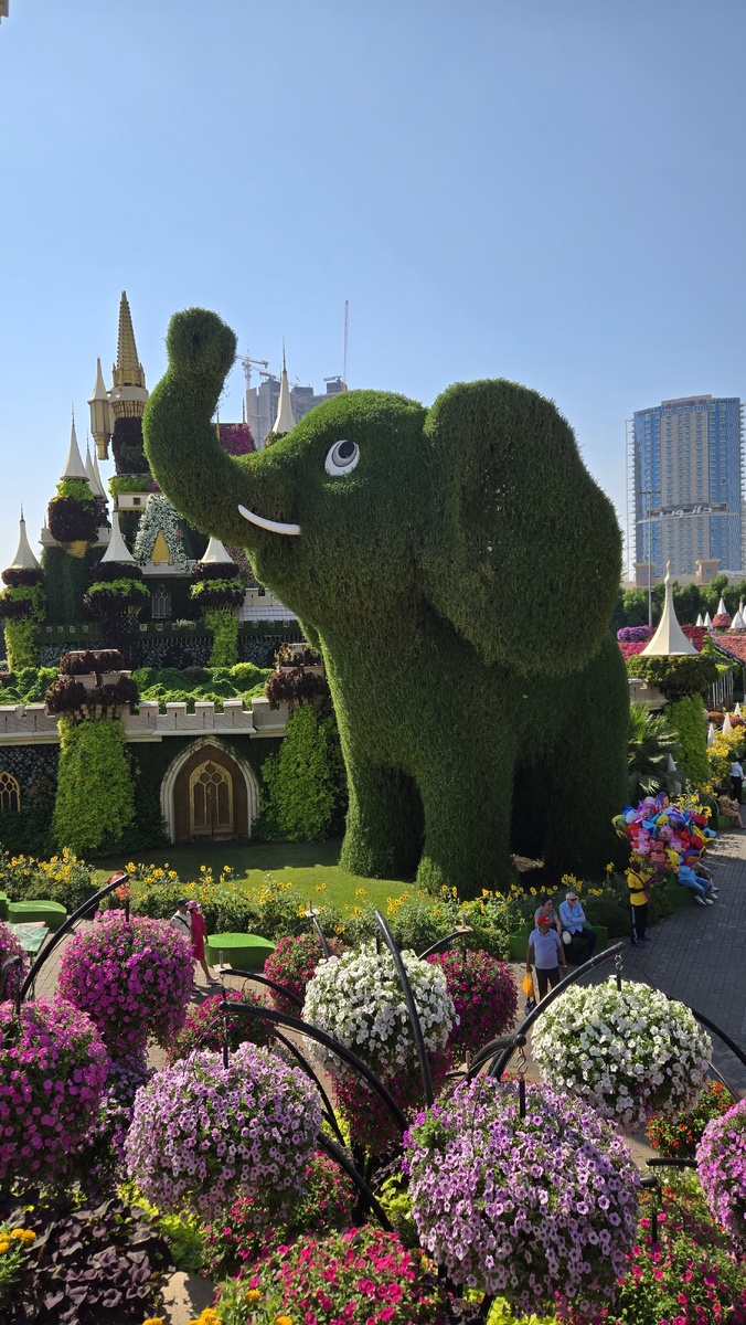 Сад чудес Miracle garden 