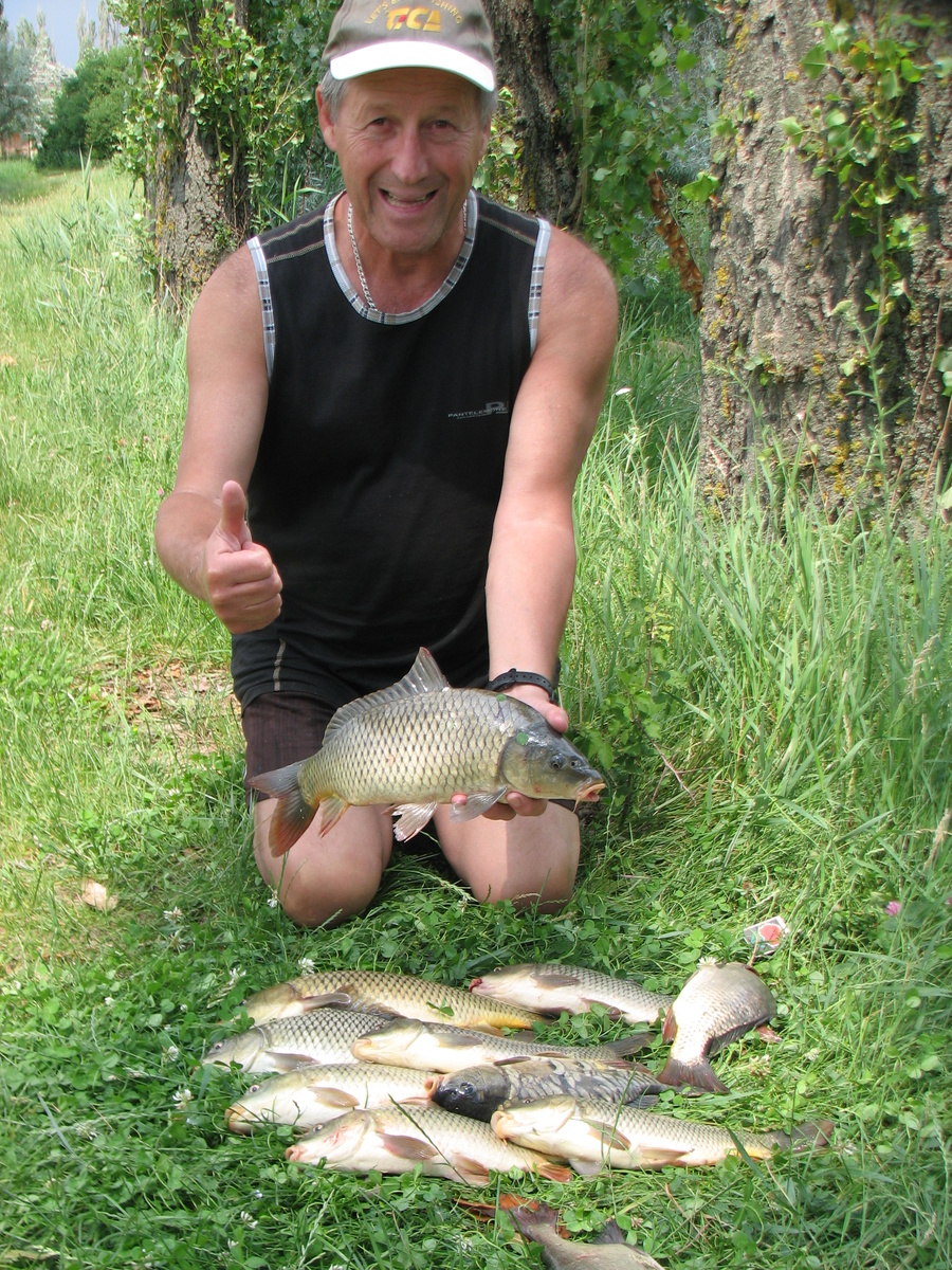 Были у автора и более солидные уловы ... Платный пруд в Павловке Белогорского района Крыма...