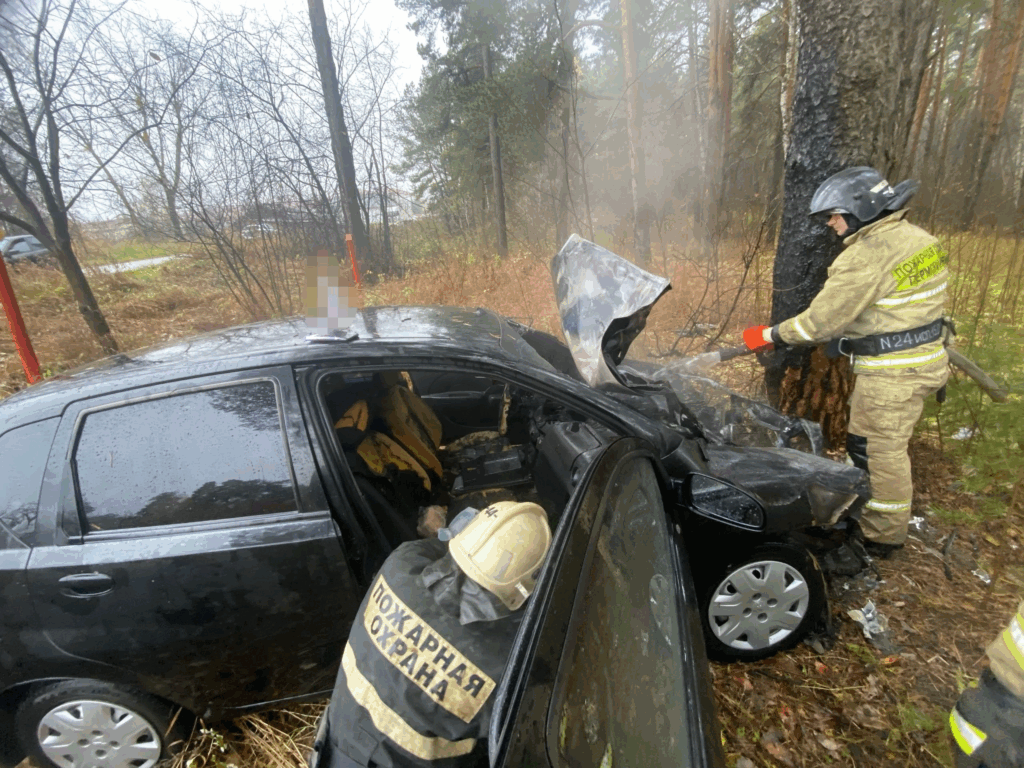    Фото: Поисково-спасательная служба Кунгурского округа Иван Фистин