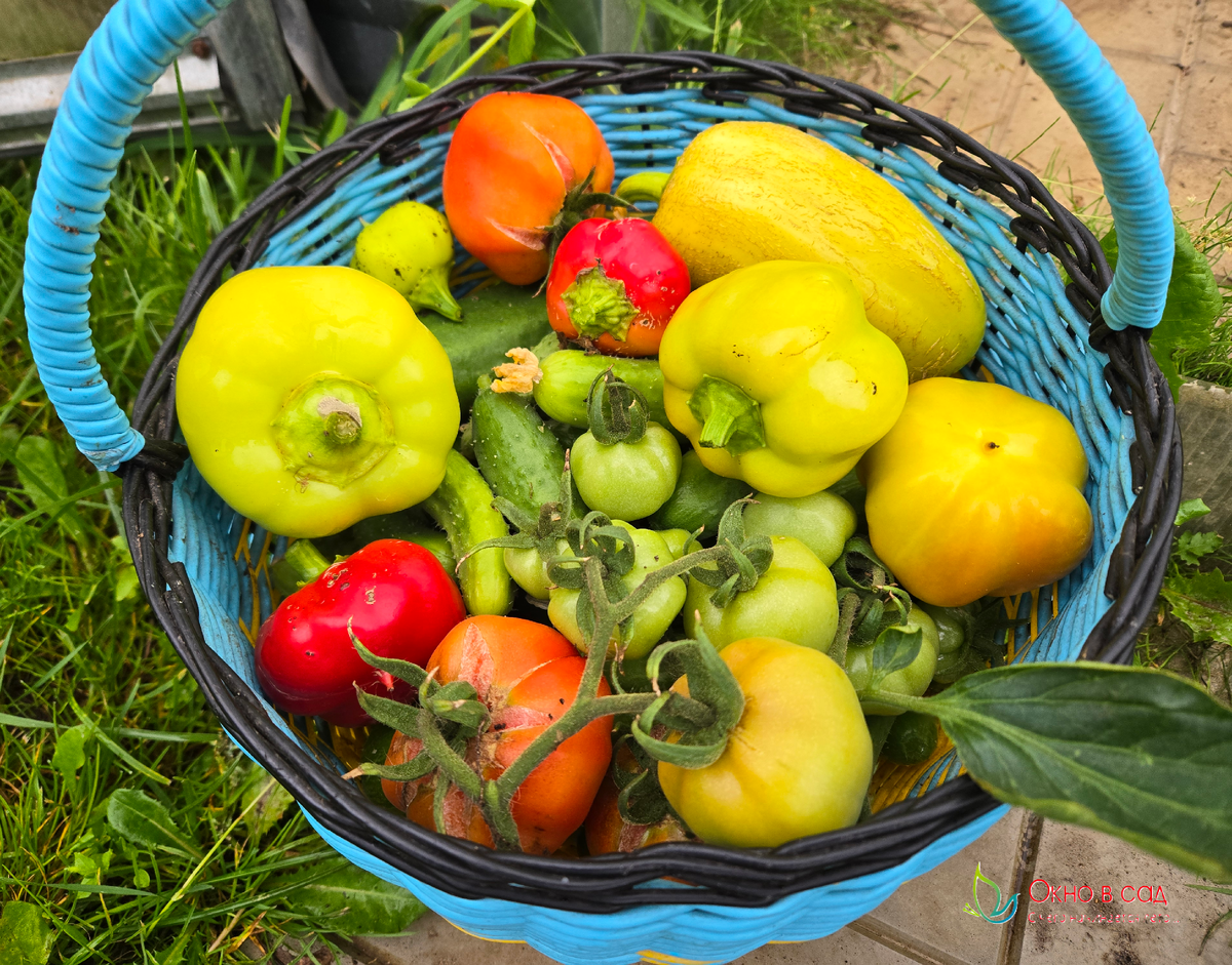 Фото из личного архива автора