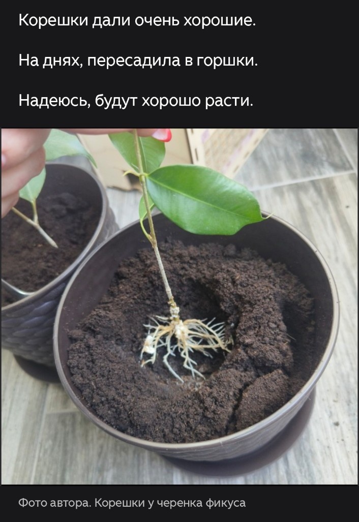 Это было в июле