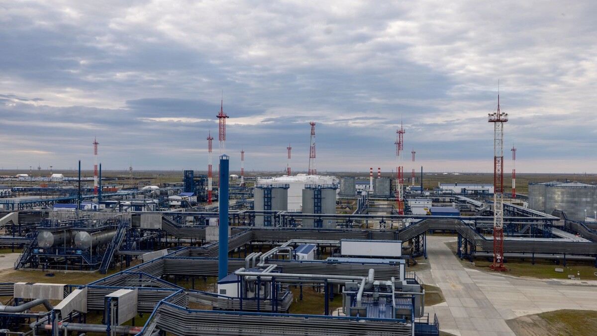    Фото: Сергей Зубков / «Ямал-Медиа»