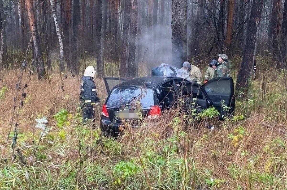    В Прикамье авто съехало в кювет и загорелось после столкновения с деревом