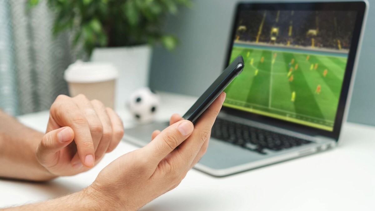    Фото: Wpadington/Shutterstock/Fotodom