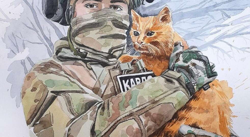 Боевые коты. Такое тоже бывает оказывается...