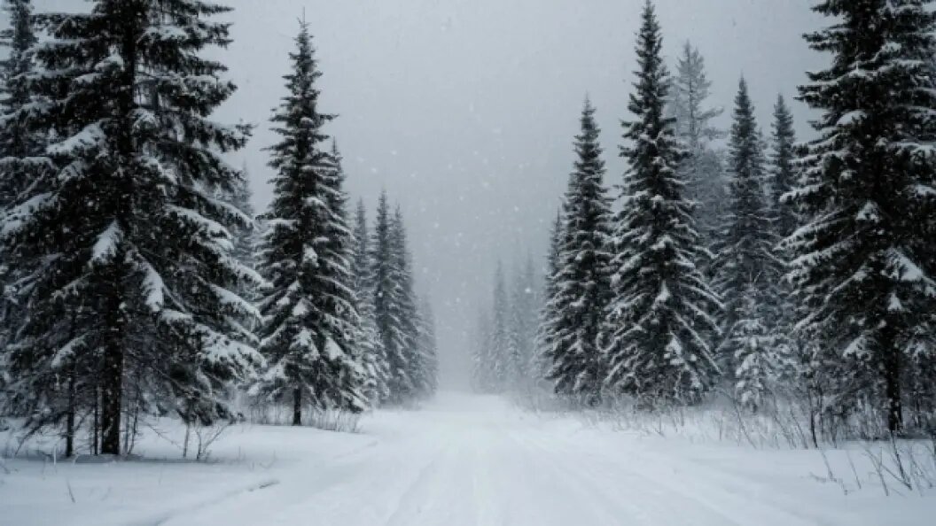    коллаж Царьграда