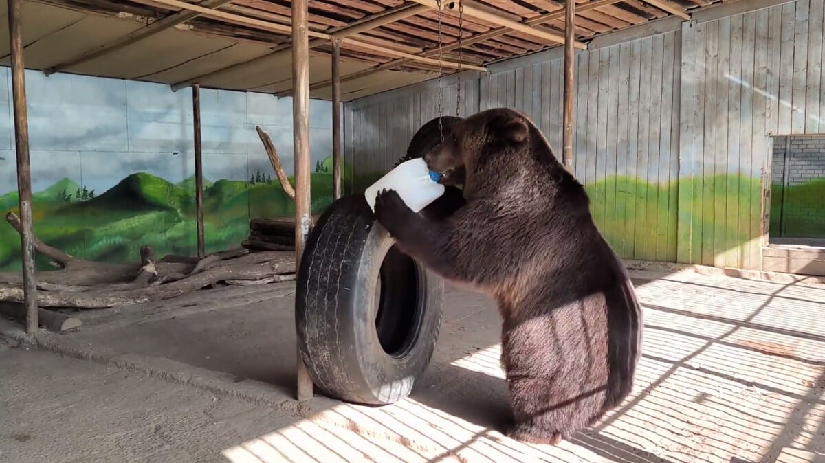    скриншот Самарский зоопарк