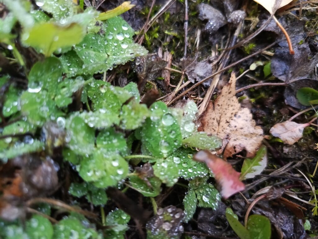    Фото: В курсе.ру Полина Анкушина