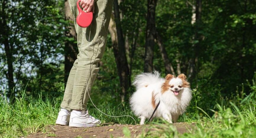    Галина Валериевна / Фотобанк Лори