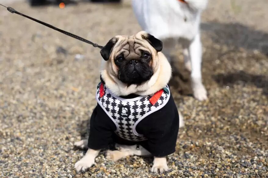    Источник фото: