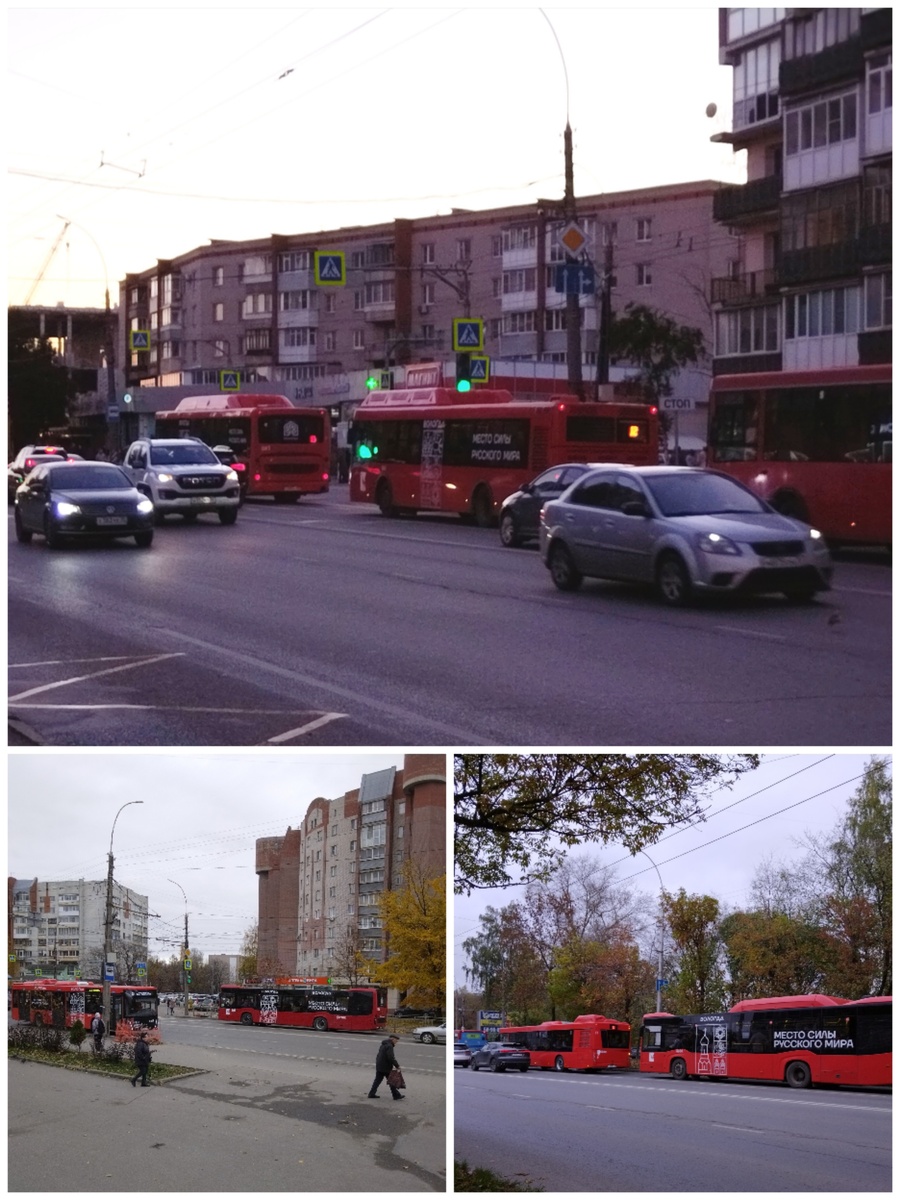 Вот они какие: красные такие...