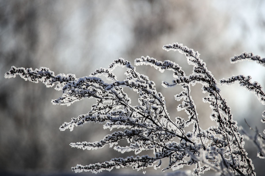    Сергей Лантюхов/NEWS.ru