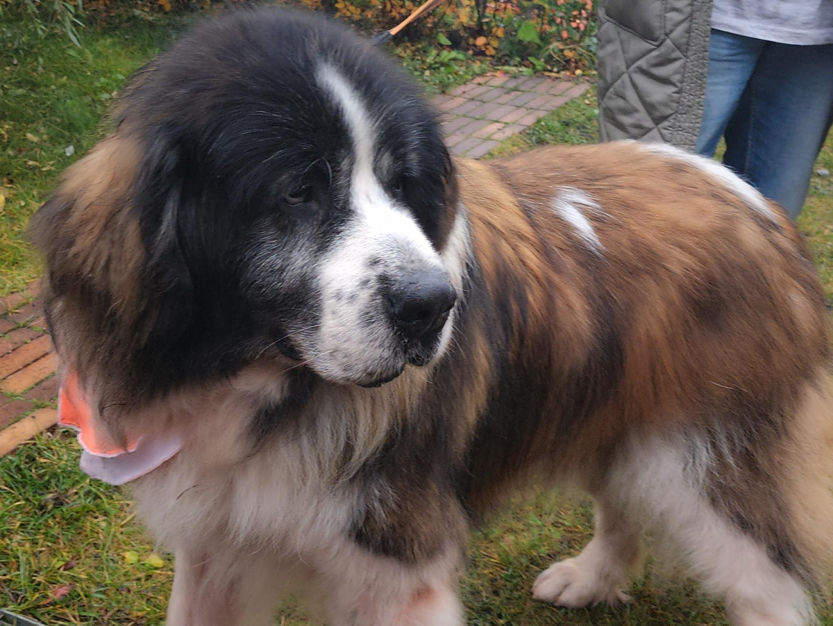    Фото: Анна Тюрюмина