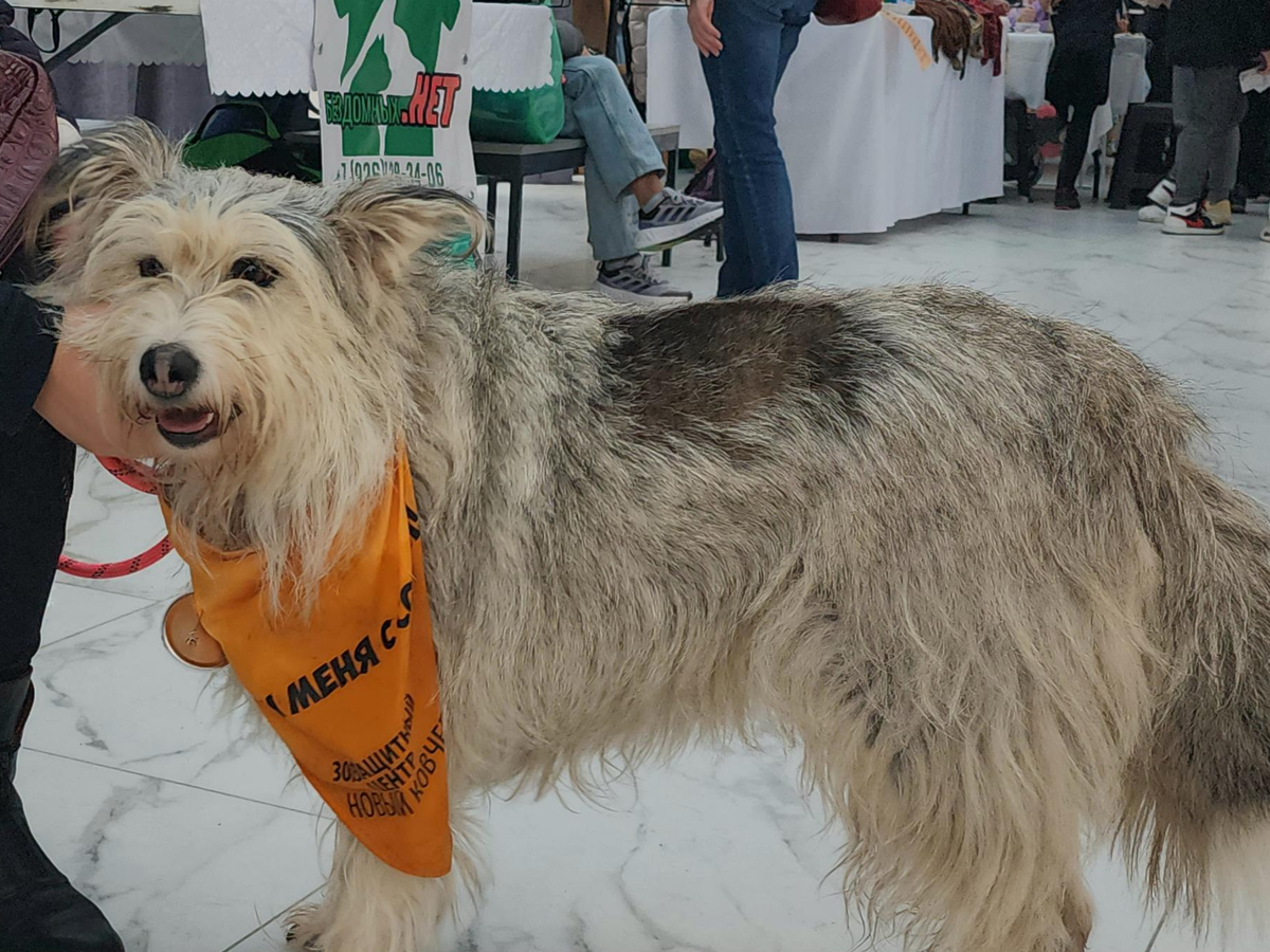     Фото: Анна Тюрюмина