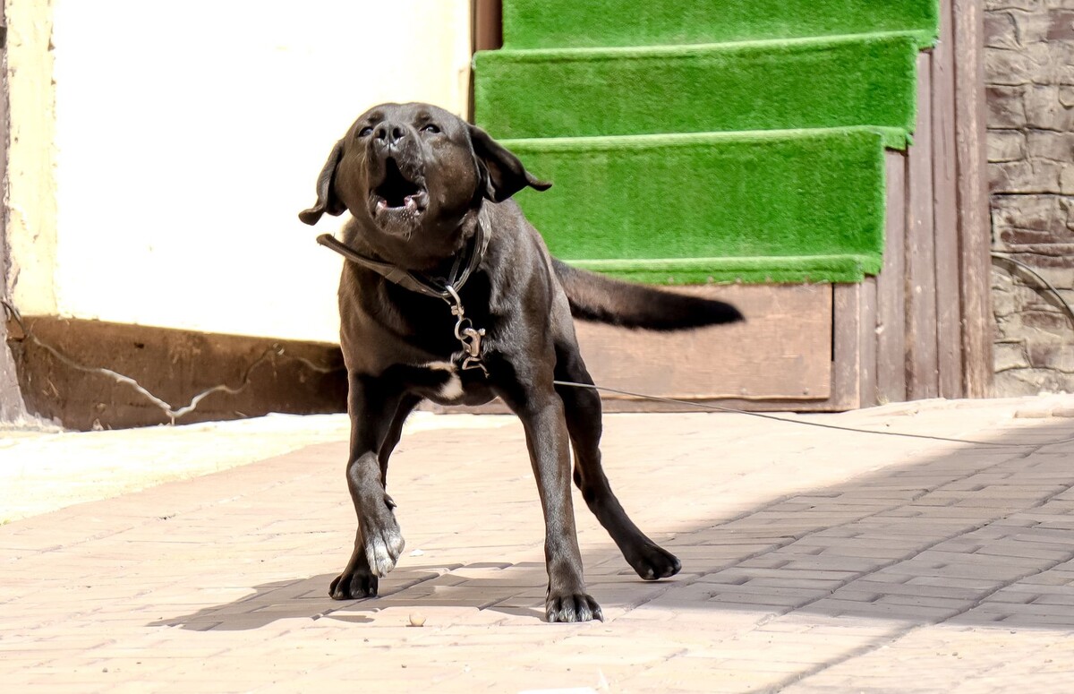     / Источник: © Global Look Press