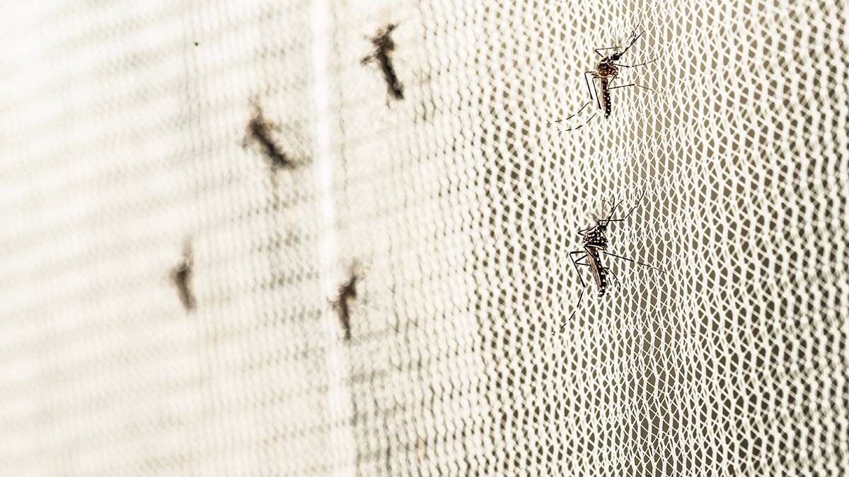    Фото: Shutterstock