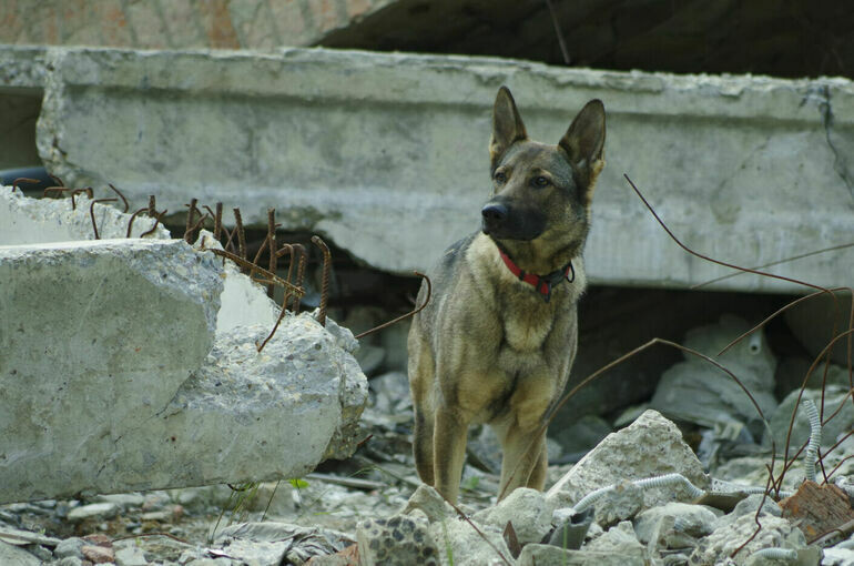   Игорь Самохвалов/«Парламентская газета»