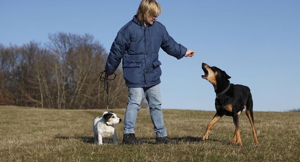    H. Schmidt-Roeger/blickwinkel / www.globallookpress.com