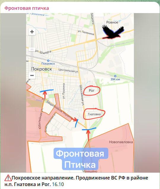    Скриншот: канал "Фронтовая птичка"