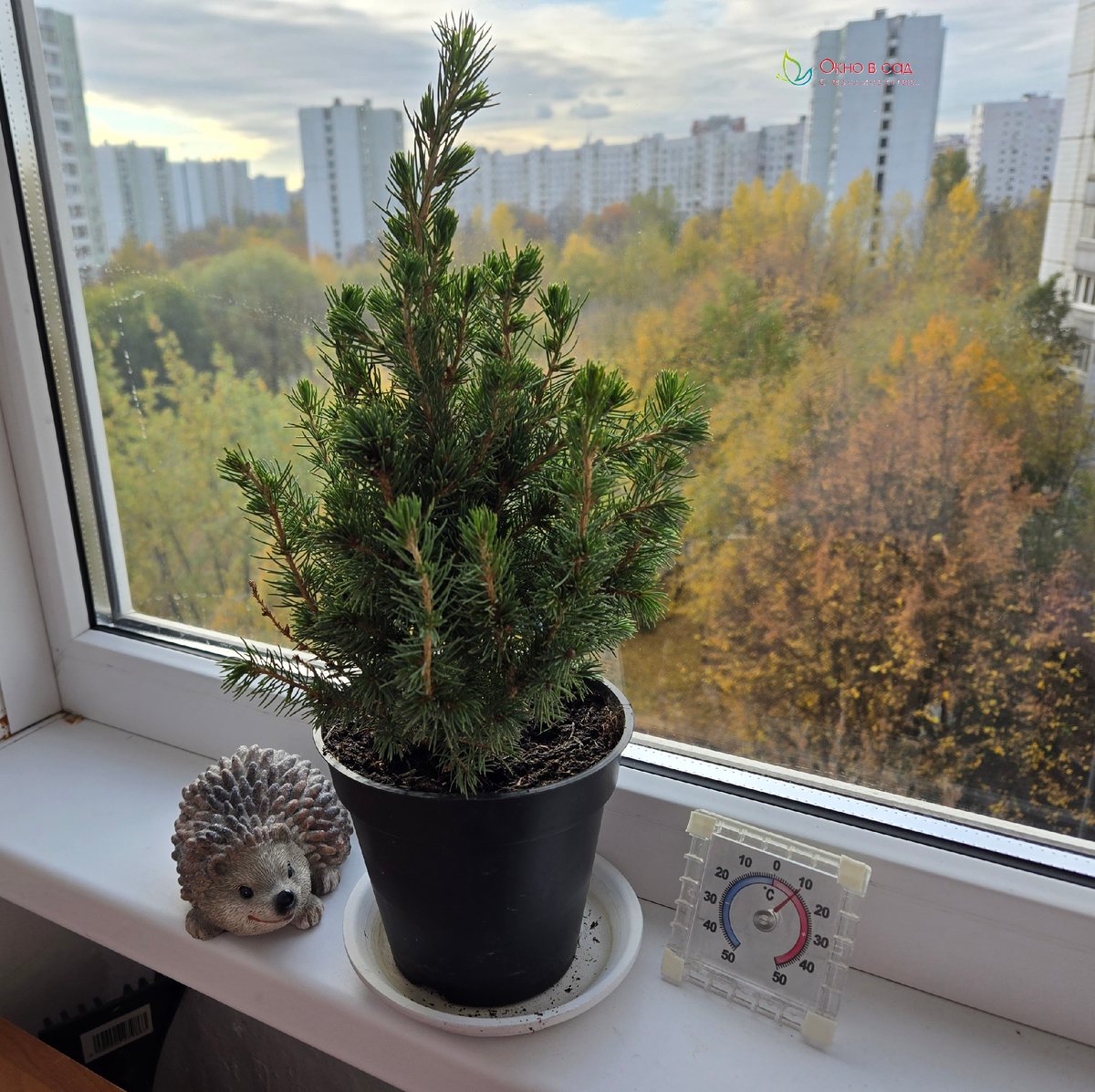 Фото из личного архива автора