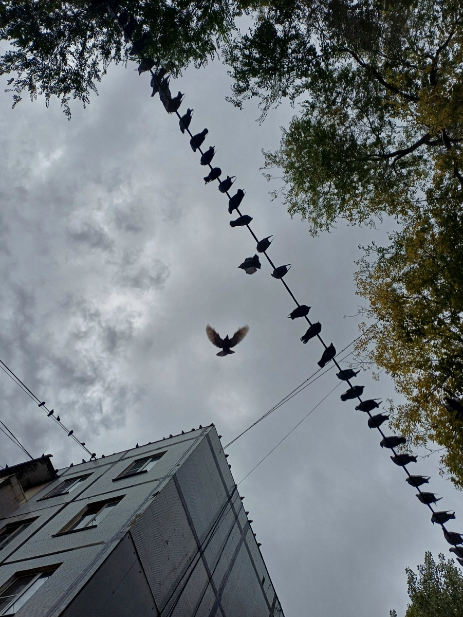 к перелету готовы)