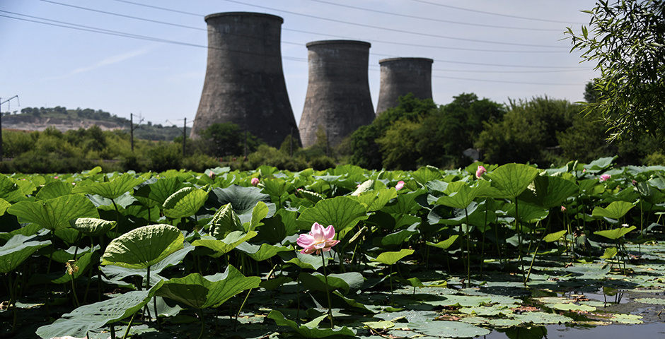 Фото: Юрий Смитюк/ТАСС