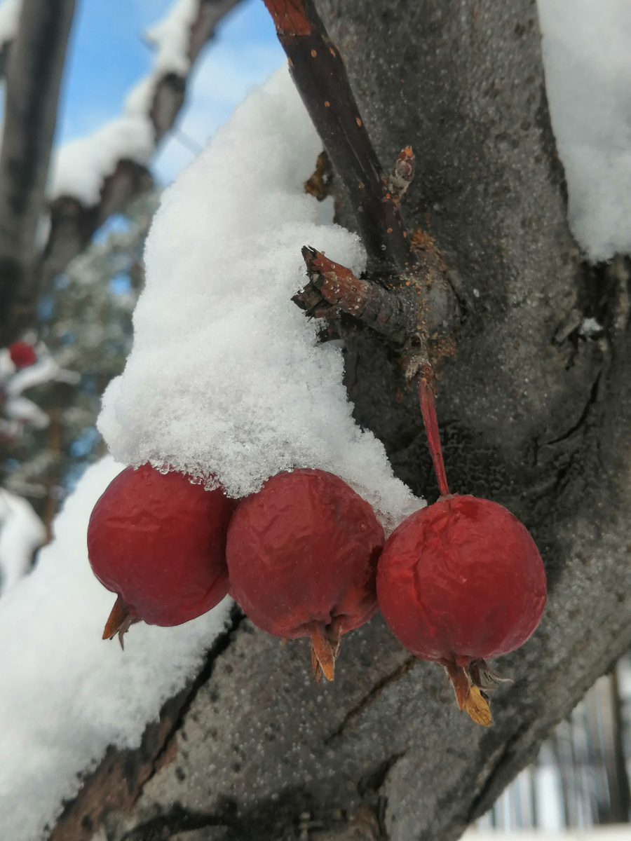 Фото автора канала